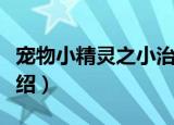 宠物小精灵之小治（关于宠物小精灵之小治介绍）