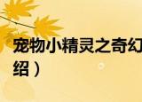 宠物小精灵之奇幻（关于宠物小精灵之奇幻介绍）