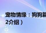 宠物情缘：狗狗篇2（关于宠物情缘：狗狗篇2介绍）