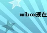 wibox现在叫什么（Wibox）