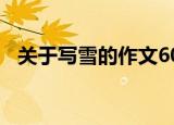 关于写雪的作文600字（关于写雪的作文）