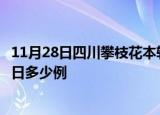11月28日四川攀枝花本轮疫情累计确诊及攀枝花疫情确诊今日多少例