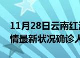 11月28日云南红河疫情累计多少例及红河疫情最新状况确诊人数