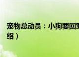 宠物总动员：小狗要回家（关于宠物总动员：小狗要回家介绍）