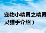宠物小精灵之精灵猎手（关于宠物小精灵之精灵猎手介绍）