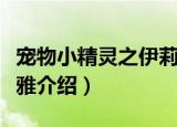 宠物小精灵之伊莉雅（关于宠物小精灵之伊莉雅介绍）