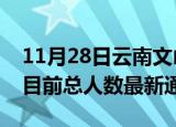 11月28日云南文山疫情人数总数及文山疫情目前总人数最新通报