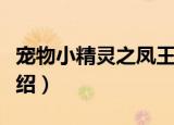 宠物小精灵之凤王（关于宠物小精灵之凤王介绍）