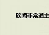 欣闻非常道主持人（欣闻非常道）