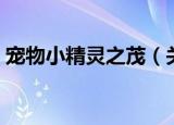宠物小精灵之茂（关于宠物小精灵之茂介绍）