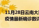 11月28日云南大理疫情新增病例详情及大理疫情最新确诊数详情