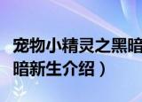 宠物小精灵之黑暗新生（关于宠物小精灵之黑暗新生介绍）