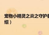 宠物小精灵之炎之守护者（关于宠物小精灵之炎之守护者介绍）
