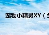 宠物小精灵XY（关于宠物小精灵XY介绍）