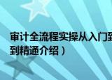 审计全流程实操从入门到精通（关于审计全流程实操从入门到精通介绍）