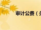 审计公费（关于审计公费介绍）