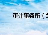 审计事务所（关于审计事务所介绍）