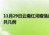 11月29日云南红河疫情最新数据消息及红河本土疫情最新总共几例