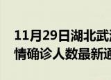 11月29日湖北武汉疫情新增多少例及武汉疫情确诊人数最新通报