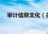 审计信息文化（关于审计信息文化介绍）
