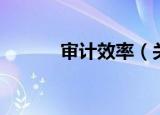 审计效率（关于审计效率介绍）