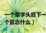 一个草字头底下一个官念什么（一个草字头一个官念什么）