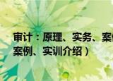 审计：原理、实务、案例、实训（关于审计：原理、实务、案例、实训介绍）