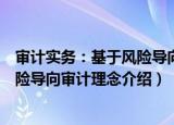 审计实务：基于风险导向审计理念（关于审计实务：基于风险导向审计理念介绍）