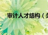 审计人才结构（关于审计人才结构介绍）