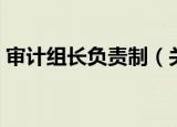审计组长负责制（关于审计组长负责制介绍）