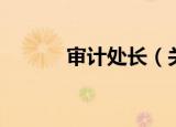 审计处长（关于审计处长介绍）