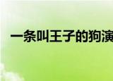 一条叫王子的狗演员表（一条叫王子的狗）