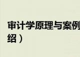 审计学原理与案例（关于审计学原理与案例介绍）