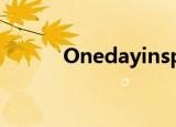 Onedayinspring都有什么乐器