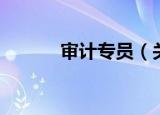 审计专员（关于审计专员介绍）