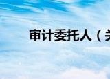 审计委托人（关于审计委托人介绍）