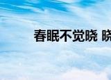 春眠不觉晓 晓（春眠不觉晓李歆）