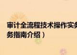 审计全流程技术操作实务指南（关于审计全流程技术操作实务指南介绍）