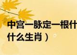 中宫一脉定一根什么生肖（中宫一孤定一格是什么生肖）