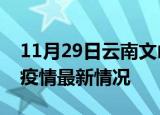 11月29日云南文山疫情病例统计及文山新冠疫情最新情况