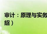 审计：原理与实务（关于审计：原理与实务介绍）