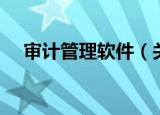 审计管理软件（关于审计管理软件介绍）