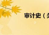审计史（关于审计史介绍）