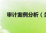 审计案例分析（关于审计案例分析介绍）
