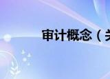 审计概念（关于审计概念介绍）