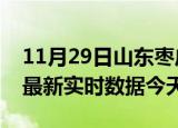 11月29日山东枣庄最新发布疫情及枣庄疫情最新实时数据今天
