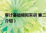审计基础模拟实训 第二版（关于审计基础模拟实训 第二版介绍）