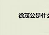 徐茂公是什么官（徐茂公简介）