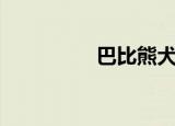 巴比熊犬犬（巴比熊犬）