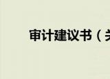 审计建议书（关于审计建议书介绍）
